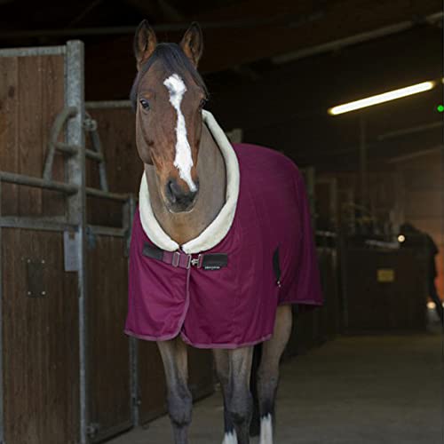 Equithème Teddy Abschwitzdecke, Größe:165 cm / 7'0, Farbe:Bordeauxrot von Equithème