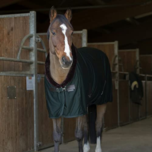 Equithème Teddy Abschwitzdecke, Größe:165 cm / 7'0, Farbe:grün von Equithème