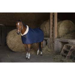 Stalldecke mit synthetischem Lammfellfutter Teddy EquiTheme Marineblau 155cm Stalldecke mit synthetischem Lammfellfutter Teddy EquiTheme Marineblau 155cm von Equitheme