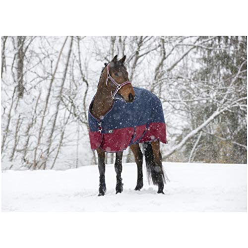 Winterdecke 150g Füllung TYREX 1200D EquiTheme Marineblau/Bordeauxrot 150cm Winterdecke 150g Füllung TYREX 1200D EquiTheme Marineblau/Bordeauxrot 150cm von Equitheme