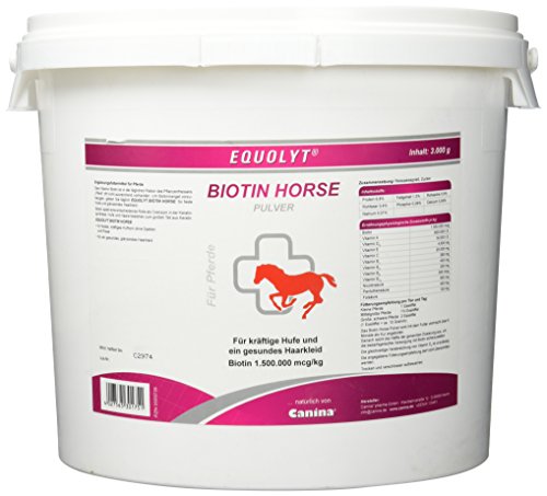 Equolyt Biotin Horse Pulver, 1er Pack (1 x 1.5 kg) von Equolyt