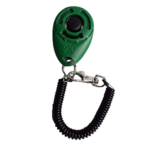 1 Stück Dog Pet Click Clicker Training Trainer Hilfe Handschlaufe Halsband Für Mops (Green, One Size) von EraAja