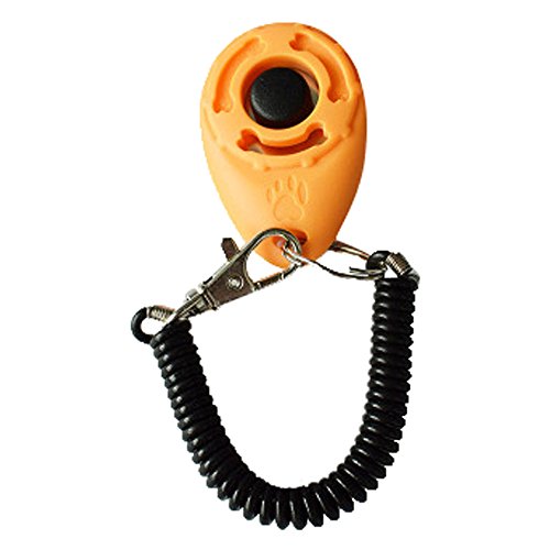 1 Stück Dog Pet Click Clicker Training Trainer Hilfe Handschlaufe Halsband Für Mops (Yellow, One Size) von EraAja