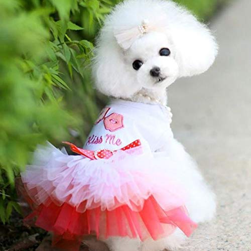 EraAja Haustier Welpen Kleiner Hund Katze Spitzenrock Prinzessin Tutu Kleid Kleidung Kostüm Hundemantel Mit Geschirr Für Kleine Hunde (Pink, XXL) von EraAja