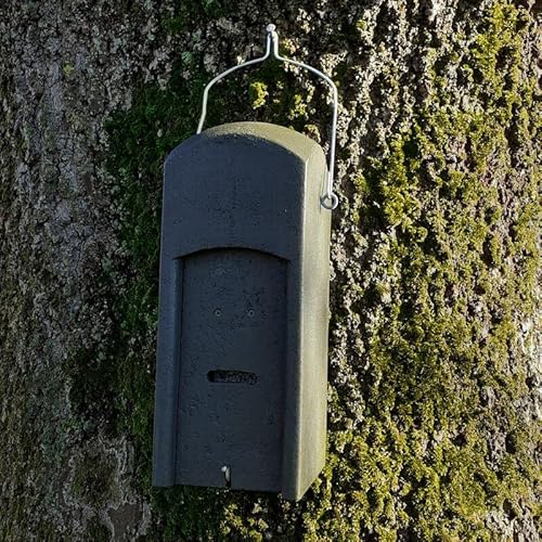 ERBECK - Fledermaus-Kuppelhöhlel aus Holzbeton - Sommerkasten für Fledermäuse - Winternisthöhle für Fledermäuse - Winterquartier - Sommerquartier ERBECK - Fledermaus-Kuppelhöhlel aus Holzbeton - Sommerkasten für Fledermäuse - Winternisthöhle für Fledermäuse - Winterquartier - Sommerquartier von Erbeck