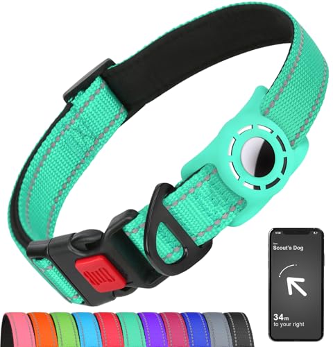Erbine Airtag Hundehalsband mit AirTag-Halterung für große Hunde, reflektierend, weich gepolstert & Sicherheitsverriegelungsschnalle, Nylon, Haustierhalsbänder, verstellbar für alle Rassen, Blaugrün, von Erbine