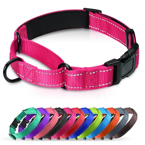 Erbine Gepolstertes Martingale-Halsband für Hunde, Neopren, Martingal-Hundehalsband, reflektierendes Nylon-Martingale-Halsband, verstellbares Martingale-Halsband für kleine, mittelgroße und große Erbine Gepolstertes Martingale-Halsband für Hunde, Neopren, Martingal-Hundehalsband, reflektierendes Nylon-Martingale-Halsband, verstellbares Martingale-Halsband für kleine, mittelgroße und große von Erbine