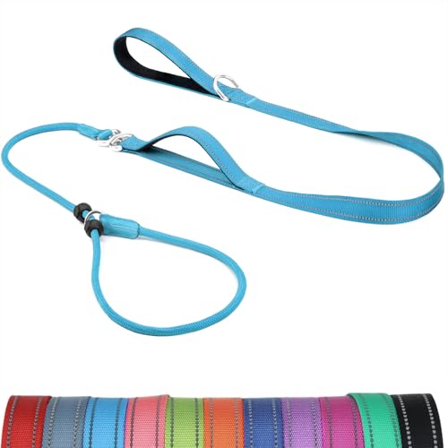 Erbine Hundeleine mit doppelt gepolstertem Griff, verheddert sich nicht, reflektierendes Nylon, kein Ziehen, Trainingsleine für kleine, mittelgroße Hunde, 1,8 m, Himmelblau von Erbine
