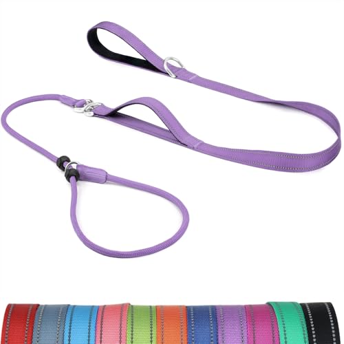 Erbine Hundeleine mit doppelt gepolstertem Griff, verheddert sich nicht, reflektierendes Nylon, kein Ziehen, Trainingsleine für kleine, mittelgroße Hunde, 1,8 m, Lila von Erbine
