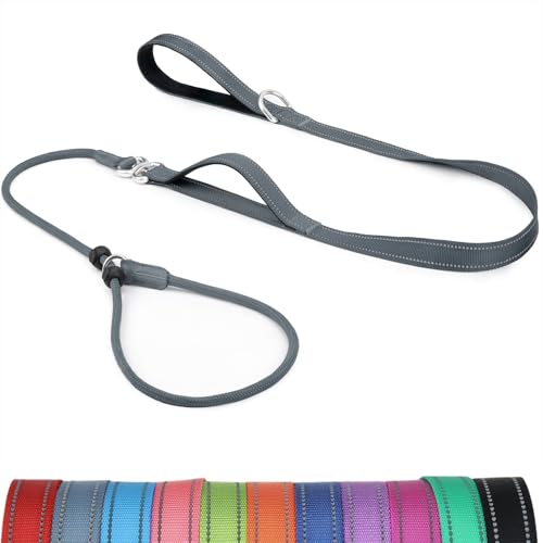Erbine Hundeleine mit doppelt gepolstertem Griff, verheddert sich nicht, reflektierendes Nylon, kein Ziehen, Trainingsleine für kleine, mittelgroße Hunde, Grau Erbine Hundeleine mit doppelt gepolstertem Griff, verheddert sich nicht, reflektierendes Nylon, kein Ziehen, Trainingsleine für kleine, mittelgroße Hunde, Grau von Erbine