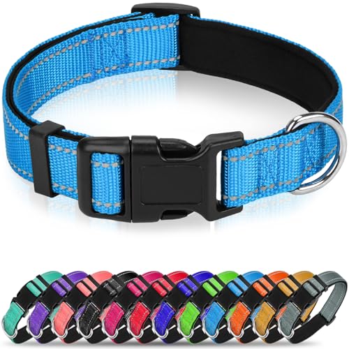 Erbine Reflektierendes Hundehalsband, weiches Neopren, gepolstertes Nylon, Haustierhalsband mit Schnellverschluss-Schnalle, verstellbar für große Hunde, Aquablau, Größe L von Erbine