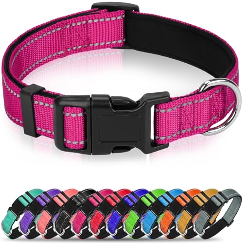 Erbine Reflektierendes Hundehalsband, weiches Neopren, gepolstertes Nylon, Haustierhalsband mit Schnellverschluss-Schnalle, verstellbar für große Hunde, Hotpink, L Erbine Reflektierendes Hundehalsband, weiches Neopren, gepolstertes Nylon, Haustierhalsband mit Schnellverschluss-Schnalle, verstellbar für große Hunde, Hotpink, L von Erbine