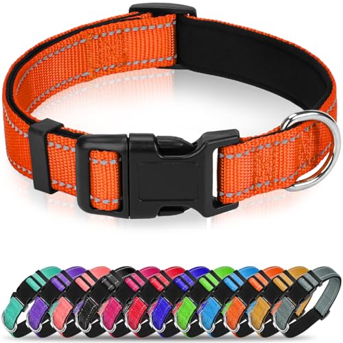 Erbine Reflektierendes Hundehalsband, weiches Neopren, gepolstertes Nylon, Haustierhalsband mit Schnellverschluss-Schnalle, verstellbar für mittelgroße Hunde, Orange, M, 2,5 cm Breite von Erbine
