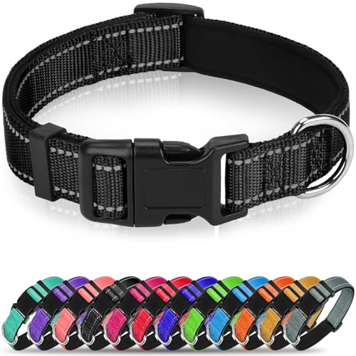 Erbine Reflektierendes Hundehalsband, weiches Neopren, gepolstertes Nylon, Haustierhalsband mit Schnellverschluss-Schnalle, verstellbar für mittelgroße Hunde, Schwarz, M, 2,5 cm Breite von Erbine