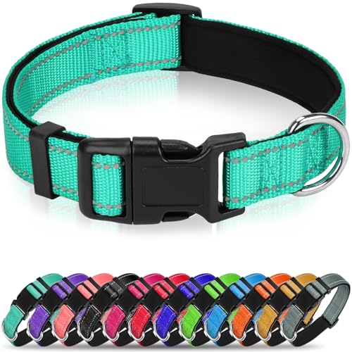 Erbine Reflektierendes Hundehalsband, weiches Neopren, gepolstertes Nylon, mit Schnellverschluss-Schnalle, verstellbar für extra große Hunde, Blaugrün, XL Erbine Reflektierendes Hundehalsband, weiches Neopren, gepolstertes Nylon, mit Schnellverschluss-Schnalle, verstellbar für extra große Hunde, Blaugrün, XL von Erbine