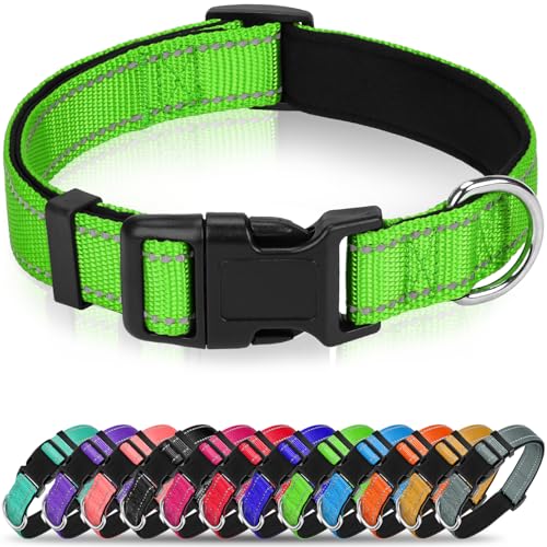 Erbine Reflektierendes Hundehalsband, weiches Neopren, gepolstertes Nylon, mit Schnellverschluss-Schnalle, verstellbar für mittelgroße Hunde, Grün, M, 1,9 cm Breite Erbine Reflektierendes Hundehalsband, weiches Neopren, gepolstertes Nylon, mit Schnellverschluss-Schnalle, verstellbar für mittelgroße Hunde, Grün, M, 1,9 cm Breite von Erbine