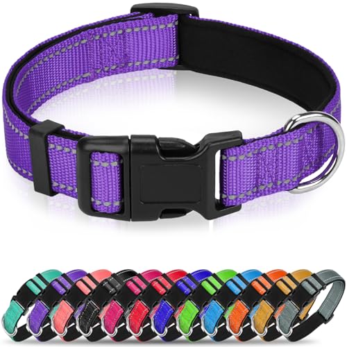 Erbine Reflektierendes Hundehalsband, weiches Neopren, gepolstertes Nylon, mit Schnellverschluss-Schnalle, verstellbar für mittelgroße Hunde, Lila, M, 1,9 cm Breite von Erbine