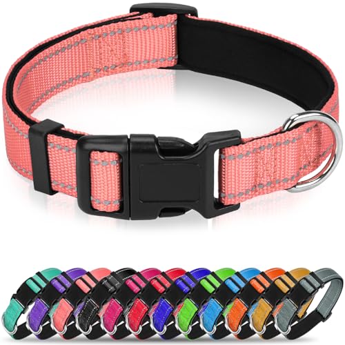 Erbine Reflektierendes Hundehalsband, weiches Neopren, gepolstertes Nylon, mit Schnellverschluss-Schnalle, verstellbar für mittelgroße Hunde, Neonrosa, M, 1,9 cm Breite Erbine Reflektierendes Hundehalsband, weiches Neopren, gepolstertes Nylon, mit Schnellverschluss-Schnalle, verstellbar für mittelgroße Hunde, Neonrosa, M, 1,9 cm Breite von Erbine