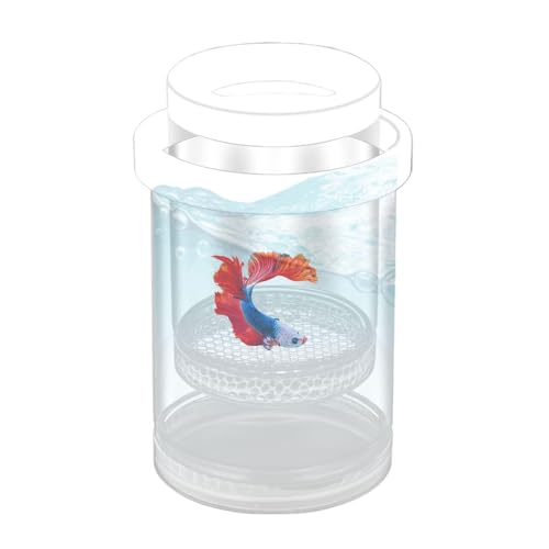Aquarium-Fischzuchtbox, schwimmende Fisch-Isolationsbox, transparentes Aquarium, Schlüpfbecken für, Guppy, 14,3 x 9,3 cm von Erconsso