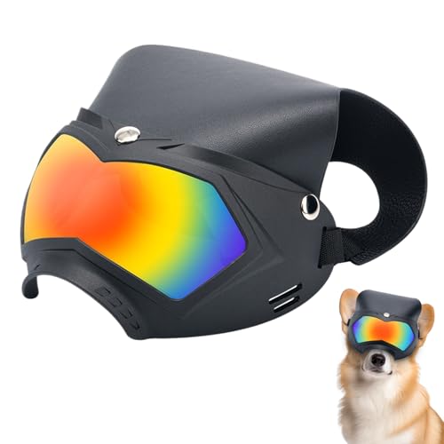 Erconsso Große Hundesonnenbrille - Schneesicheres Hundehut Visier Mit UV-Filter,Abnehmbarer Atmungsaktiver Hundeschutzhelm Haustierzubehör für Aktivitäten im Freien wie Bergwandern Sommerfeste und Erconsso Große Hundesonnenbrille - Schneesicheres Hundehut Visier Mit UV-Filter,Abnehmbarer Atmungsaktiver Hundeschutzhelm Haustierzubehör für Aktivitäten im Freien wie Bergwandern Sommerfeste und von Erconsso
