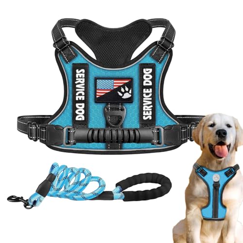 Erconsso Hundegeschirr, reflektierende Hundeweste, einfache Kontrolle, für Outdoor-Aktivitäten, Nachtspaziergänge, Wandern, Training Erconsso Hundegeschirr, reflektierende Hundeweste, einfache Kontrolle, für Outdoor-Aktivitäten, Nachtspaziergänge, Wandern, Training von Erconsso