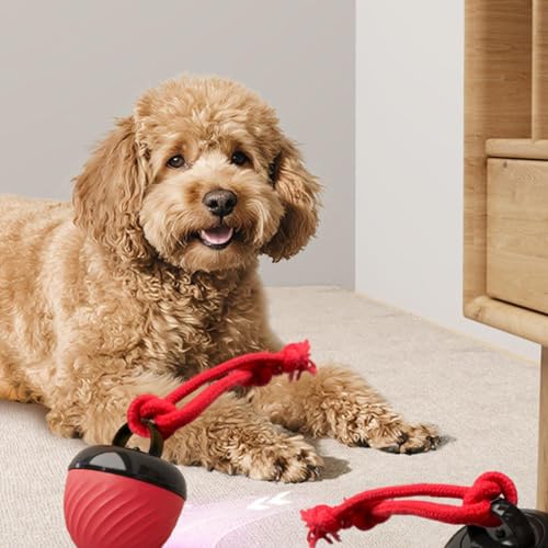 Erconsso Interaktiver Hundeball, Automatisch Rollender Haustier Spielball, DREI Modi Interaktives Hundespiel Für Starke Beißer, Beim Zahnwechsel, Drinnen Und Draußen Erconsso Interaktiver Hundeball, Automatisch Rollender Haustier Spielball, DREI Modi Interaktives Hundespiel Für Starke Beißer, Beim Zahnwechsel, Drinnen Und Draußen von Erconsso