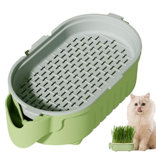 Erconsso Katzengras-Pflanzgefäß, bodenlose Bewässerung mit Katzenminze, Pflanzschale für Innenbereich, Katzengras, Samenschale für Innenhof, Fensterbank Erconsso Katzengras-Pflanzgefäß, bodenlose Bewässerung mit Katzenminze, Pflanzschale für Innenbereich, Katzengras, Samenschale für Innenhof, Fensterbank von Erconsso