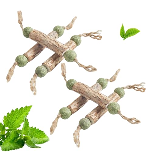 Erconsso Katzenminze Spielzeuge, Katzenminze Spielzeuge, 6 Stück Interaktive Kratzstäbchen Mit Katzenspielzeug Für Indoor-Spaß, Jagdvergnügen & Kauaktivitäten Erconsso Katzenminze Spielzeuge, Katzenminze Spielzeuge, 6 Stück Interaktive Kratzstäbchen Mit Katzenspielzeug Für Indoor-Spaß, Jagdvergnügen & Kauaktivitäten von Erconsso