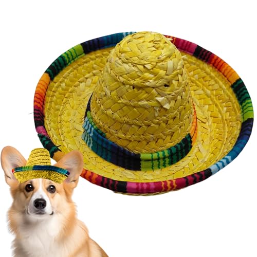 Erconsso Mini Sombrero - Gewebene Mexikanische Festhüte | Weitkrempige Kostümdekoration Für Haustiere Kinder Und Hunde Tiere Erconsso Mini Sombrero - Gewebene Mexikanische Festhüte | Weitkrempige Kostümdekoration Für Haustiere Kinder Und Hunde Tiere von Erconsso