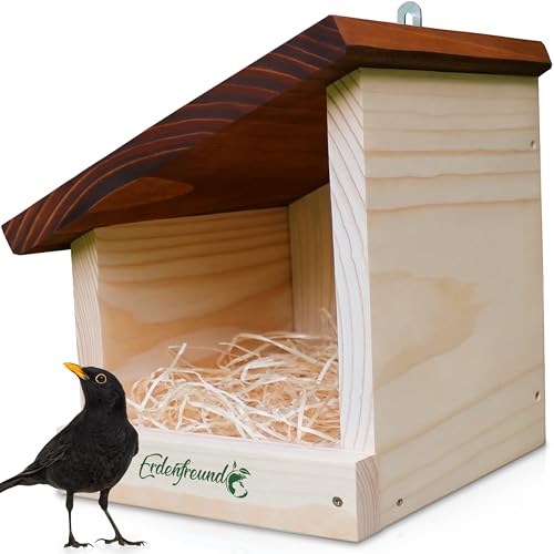 ERDENFREUND® Amsel Nistkasten halboffen extra für Freibrüter/Halbhöhlenbrüter Nistkasten Amsel artgerechte Halbhöhle langlebig aus 2 cm FSC-Massivholz (Amselhaus modern artgerecht) von Erdenfreund