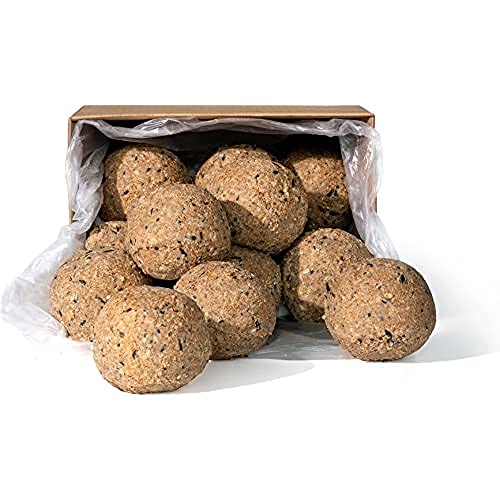 Erdtmanns Meisenknödel XXL ohne Netz im Katon, 1er Pack (1 x 6 kg) von Erdtmanns