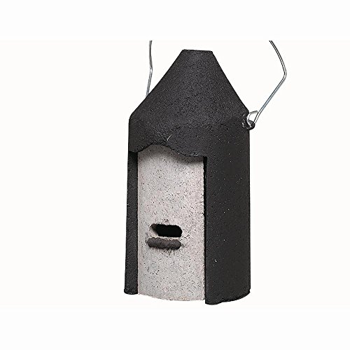 Erdtmanns Schwegler 134 Fledermaus-Nisthöhle zum Aufhängen, aus Holzbeton Erdtmanns Schwegler 134 Fledermaus-Nisthöhle zum Aufhängen, aus Holzbeton von Erdtmanns
