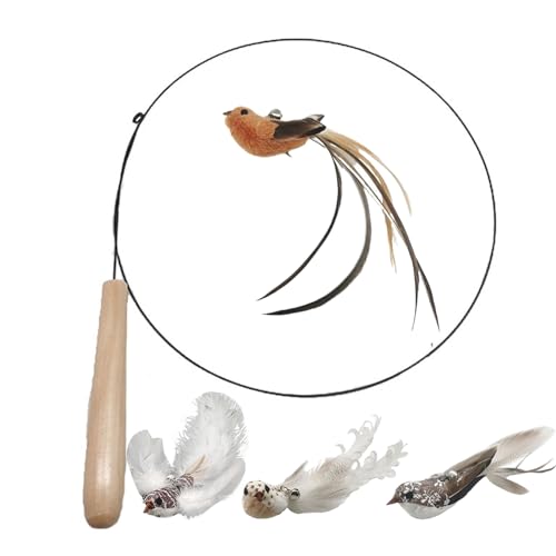 Cat Dancer Drahtspielzeug, einziehbarer Zauberstab-Spielzeug und Feder, Katzenspielzeug interaktiv, Spielzeug Nachfüllpackungen für Indoor-Katzen zum Jagen und Trainieren Cat Dancer Drahtspielzeug, einziehbarer Zauberstab-Spielzeug und Feder, Katzenspielzeug interaktiv, Spielzeug Nachfüllpackungen für Indoor-Katzen zum Jagen und Trainieren von Erice