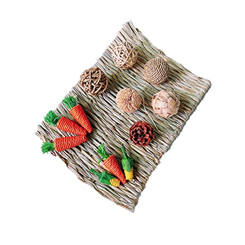 Erichman Bunny Grass Mat, Small Animal Chew Toys Natural Straw Woven Bed Mat Bed Play Toy for Bunny Guinea Pig Parrot Rabbit Hamster Rat (One Size,Package E) von Erichman