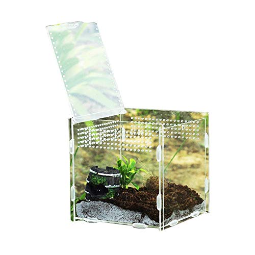 Eruditter Reptilien Terrarium Glas - Mini Faunarium Insekten, Zuchtbox Insekten, Faunarium Reptilienbehälter, Für Haustier Schlange Insekten Spinne Eidechse Skorpion Tausendfüßler von Eruditter