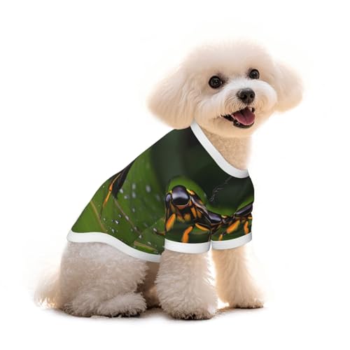 Haustier-T-Shirt, Motiv: Insekten auf Blättern, reine Baumwolle, für Hunde und Katzen, bequem, für kleine und mittelgroße Sommer-Winterkleidung von Erwqavc