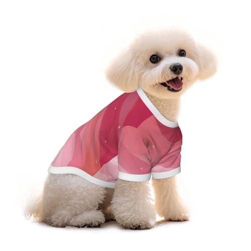Haustier-T-Shirt, für Hunde und Katzen, mit Farbverlaufsdruck, reine Baumwolle, bequem, für kleine und mittelgroße Sommer-Winterkleidung von Erwqavc