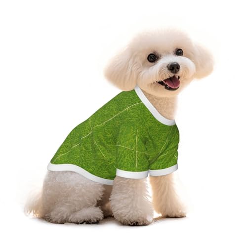 Haustier-T-Shirt für Hunde und Katzen, Grünland-Druck, reine Baumwolle, bequem, für kleine und mittelgroße Sommer-Winterkleidung Haustier-T-Shirt für Hunde und Katzen, Grünland-Druck, reine Baumwolle, bequem, für kleine und mittelgroße Sommer-Winterkleidung von Erwqavc