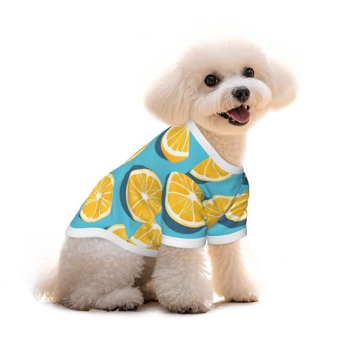 Haustier-T-Shirt für Hunde und Katzen, Motiv: Zitronen-Keilmuster, reine Baumwolle, bequem, für kleine und mittelgroße Sommer-Winterkleidung von Erwqavc