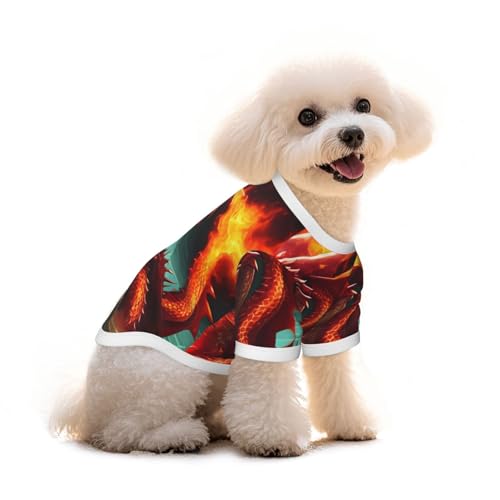 Haustier-T-Shirt mit Drachenkönig im Feuer-Druck, reine Baumwolle, für Hunde und Katzen, bequem, für kleine und mittelgroße Sommer-Winterkleidung von Erwqavc