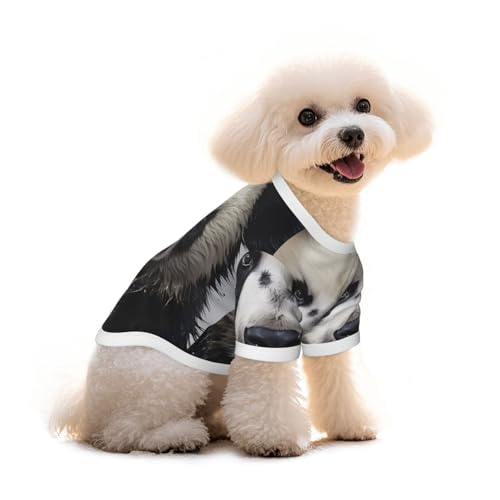 Haustier-T-Shirt mit Panda-Aufdruck aus reiner Baumwolle, für Hunde und Katzen, bequem, für kleine und mittelgroße Sommer-Winterkleidung von Erwqavc