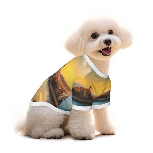 Haustier-T-Shirt mit Sonnenuntergang in Barcelona, reine Baumwolle, für Hunde und Katzen, bequem, für kleine und mittelgroße Sommer-Winterkleidung von Erwqavc