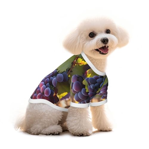 Haustier-T-Shirt mit Wüstentrauben-Aufdruck, reine Baumwolle, für Hunde und Katzen, bequem, für kleine und mittelgroße Sommer-Winterkleidung Haustier-T-Shirt mit Wüstentrauben-Aufdruck, reine Baumwolle, für Hunde und Katzen, bequem, für kleine und mittelgroße Sommer-Winterkleidung von Erwqavc