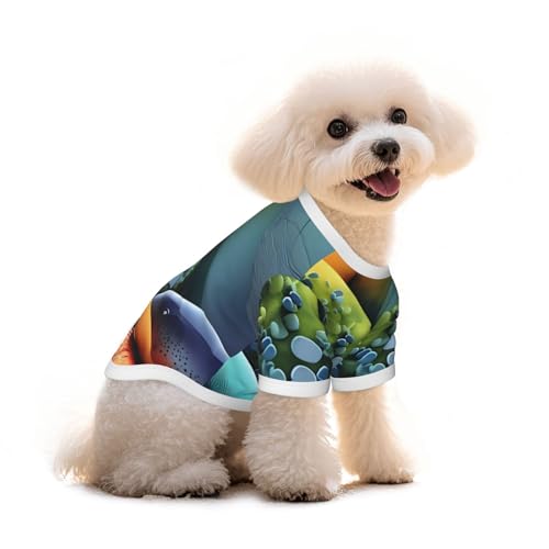 T-Shirt für Hunde und Katzen, Motiv: farbige Steine, reine Baumwolle, bequem, für kleine und mittelgroße Sommer-Winterkleidung T-Shirt für Hunde und Katzen, Motiv: farbige Steine, reine Baumwolle, bequem, für kleine und mittelgroße Sommer-Winterkleidung von Erwqavc