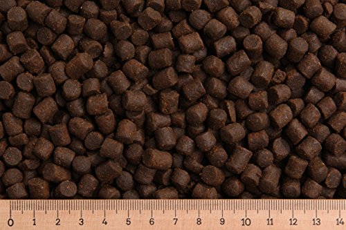 (Grundpreis 2,50 Euro/kg) - 25 kg Forellenfutter - Lachsforelle Supreme 8,0 mm Astaxanthin - sinkend - Forellenpellets von Erzgebirgs-Fisch