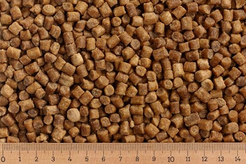 (Grundpreis 2,50 Euro/kg) - 25 kg Premium Koifutter Coarse 6,0 mm - Herbst/Winter - sinkend von Erzgebirgs-Fisch