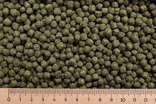 (Grundpreis 3,15 Euro/kg) - 15 kg Premium Koifutter mit Spirulina 6,0 mm - Koi schwimmend von Erzgebirgs-Fisch