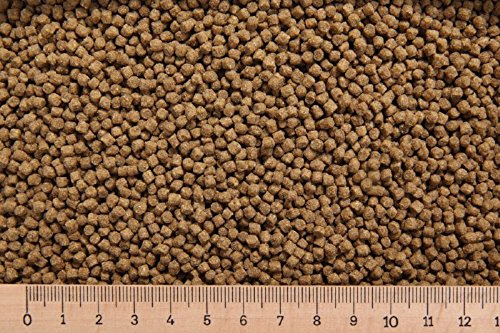 (Grundpreis 3,90 Euro/kg) - 5 kg Karpfenfutter PP 3,0 mm 30/5 schwimmend Cypriniden - Karpfenpellets von Erzgebirgs-Fisch