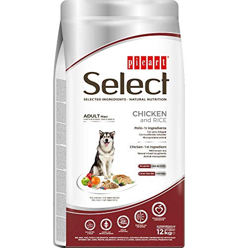 Select Adult Maxi Chicken, 12 kg, Schwarz, 12 kg, 12000 Select Adult Maxi Chicken, 12 kg, Schwarz, 12 kg, 12000 von EsOyl