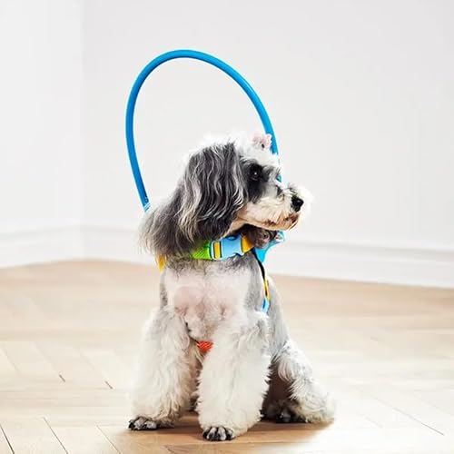 Esenlong Blind Dog Halo, Hund Halo Halsband für Blind Haustier Führung, Halo Halsband für Hunde Haustier Anti-Kollision Ring Blind Hundegeschirr für Indoor Outdoor - L von Esenlong